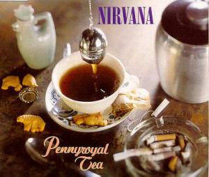 Nirvana · Pennyroyal Tea