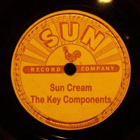 Sun Cream - The Key Components