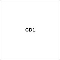 CD1
