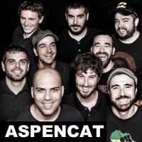 Aspencat