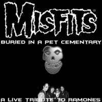 The Misfits