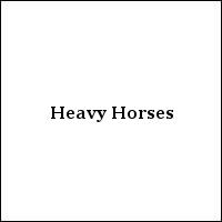 Heavy Horses