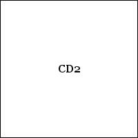 CD2