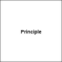 Principle