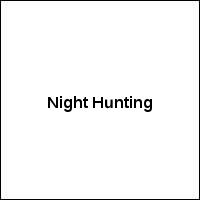 Night Hunting